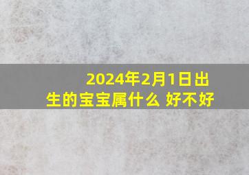 2024年2月1日出生的宝宝属什么 好不好